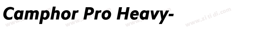 Camphor Pro Heavy字体转换